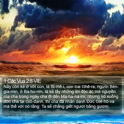 1 Các Vua 2:8 VIE Bible Verse Image