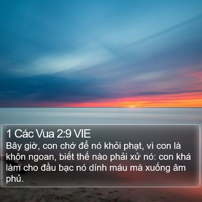1 Các Vua 2:9 VIE Bible Verse Image