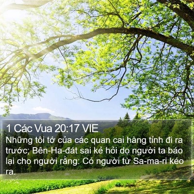 1 Các Vua 20:17 VIE Bible Verse Image
