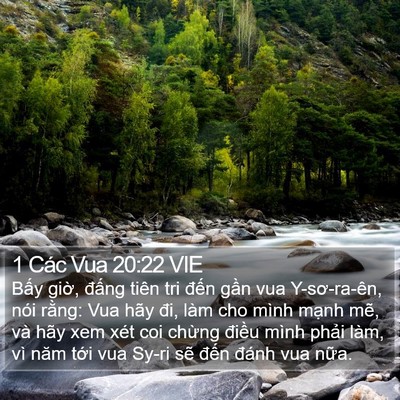 1 Các Vua 20:22 VIE Bible Verse Image