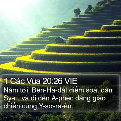 1 Các Vua 20:26 VIE Bible Verse Image