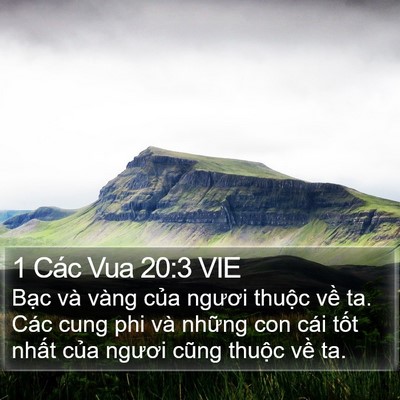 1 Các Vua 20:3 VIE Bible Verse Image