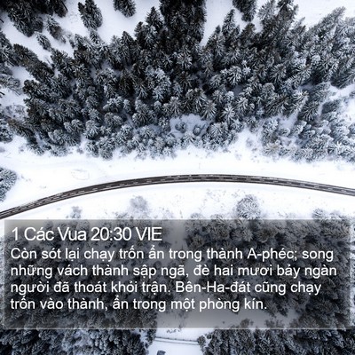 1 Các Vua 20:30 VIE Bible Verse Image