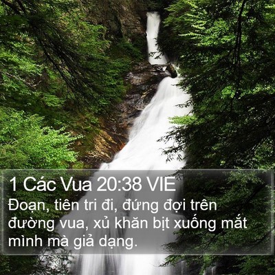 1 Các Vua 20:38 VIE Bible Verse Image