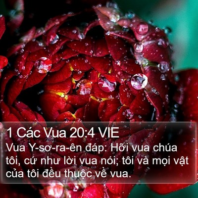 1 Các Vua 20:4 VIE Bible Verse Image