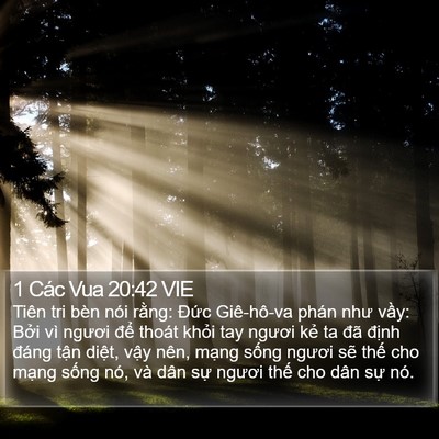 1 Các Vua 20:42 VIE Bible Verse Image
