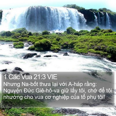 1 Các Vua 21:3 VIE Bible Verse Image