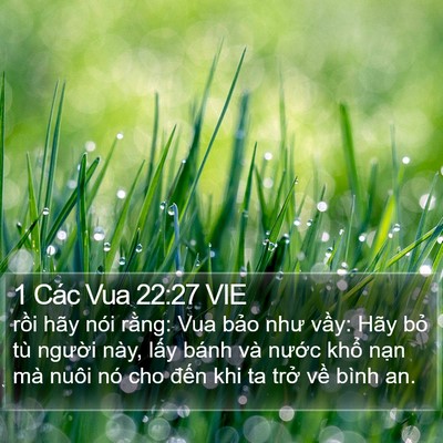 1 Các Vua 22:27 VIE Bible Verse Image