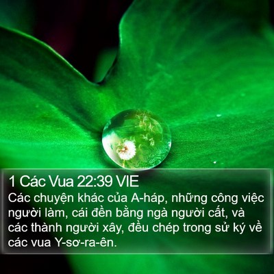 1 Các Vua 22:39 VIE Bible Verse Image