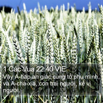 1 Các Vua 22:40 VIE Bible Verse Image
