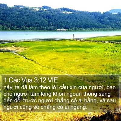 1 Các Vua 3:12 VIE Bible Verse Image
