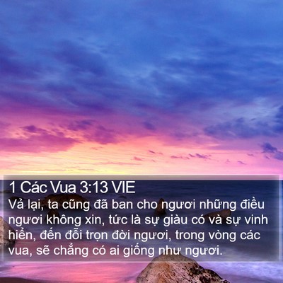 1 Các Vua 3:13 VIE Bible Verse Image