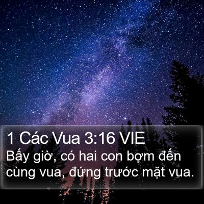 1 Các Vua 3:16 VIE Bible Verse Image