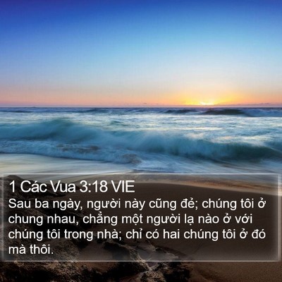 1 Các Vua 3:18 VIE Bible Verse Image