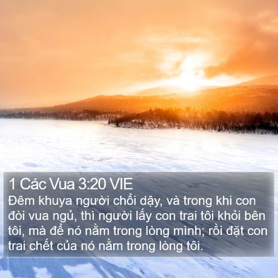 1 Các Vua 3:20 VIE Bible Verse Image