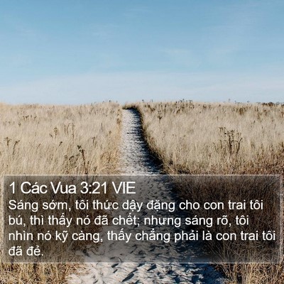 1 Các Vua 3:21 VIE Bible Verse Image