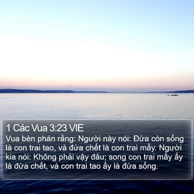 1 Các Vua 3:23 VIE Bible Verse Image