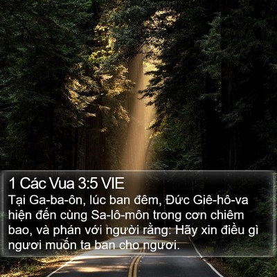 1 Các Vua 3:5 VIE Bible Verse Image