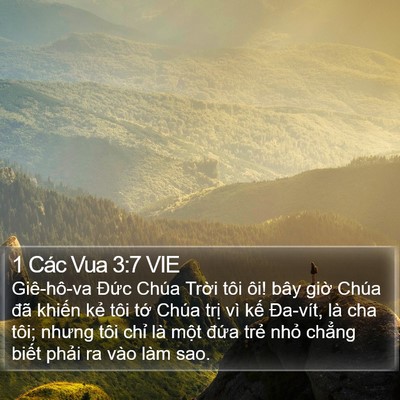 1 Các Vua 3:7 VIE Bible Verse Image
