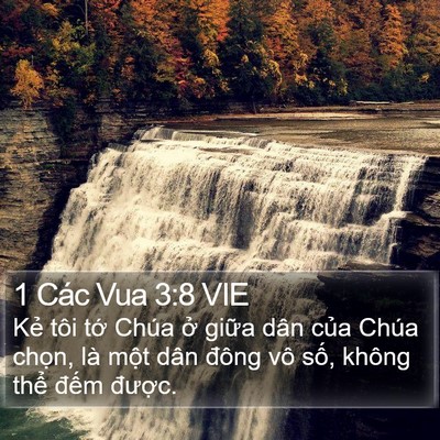 1 Các Vua 3:8 VIE Bible Verse Image