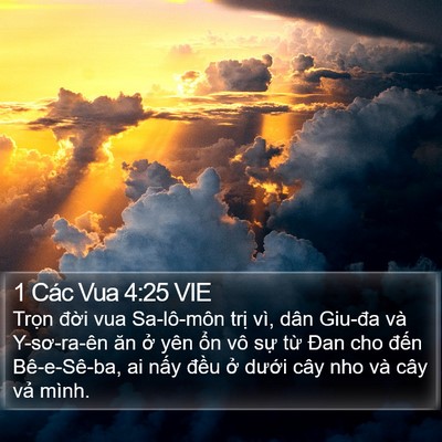 1 Các Vua 4:25 VIE Bible Verse Image
