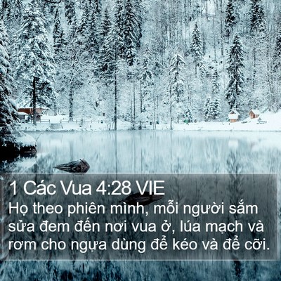 1 Các Vua 4:28 VIE Bible Verse Image