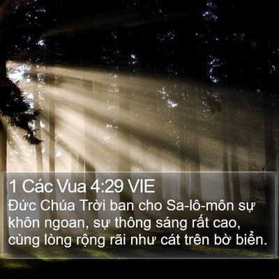 1 Các Vua 4:29 VIE Bible Verse Image