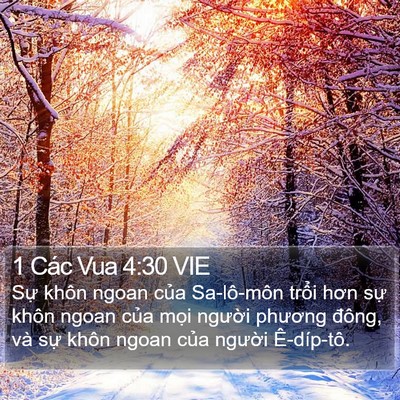 1 Các Vua 4:30 VIE Bible Verse Image