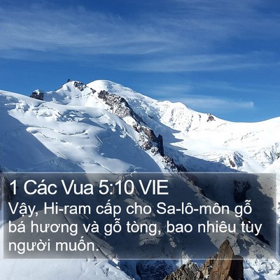 1 Các Vua 5:10 VIE Bible Verse Image