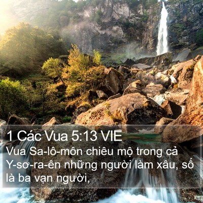 1 Các Vua 5:13 VIE Bible Verse Image
