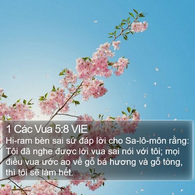 1 Các Vua 5:8 VIE Bible Verse Image