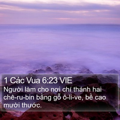 1 Các Vua 6:23 VIE Bible Verse Image