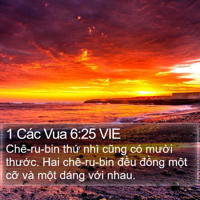1 Các Vua 6:25 VIE Bible Verse Image