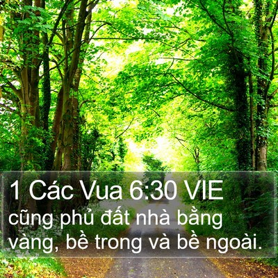 1 Các Vua 6:30 VIE Bible Verse Image