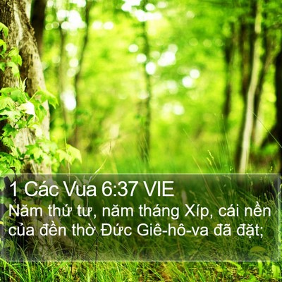 1 Các Vua 6:37 VIE Bible Verse Image