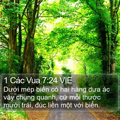 1 Các Vua 7:24 VIE Bible Verse Image