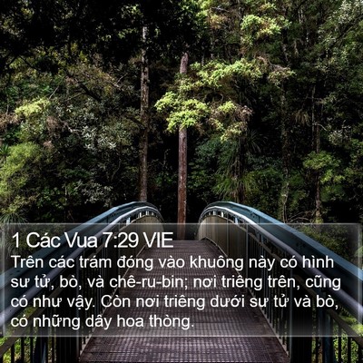 1 Các Vua 7:29 VIE Bible Verse Image