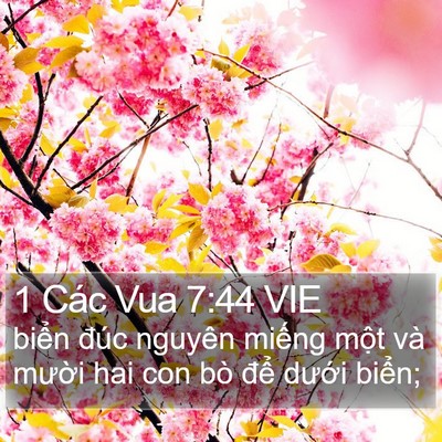 1 Các Vua 7:44 VIE Bible Verse Image