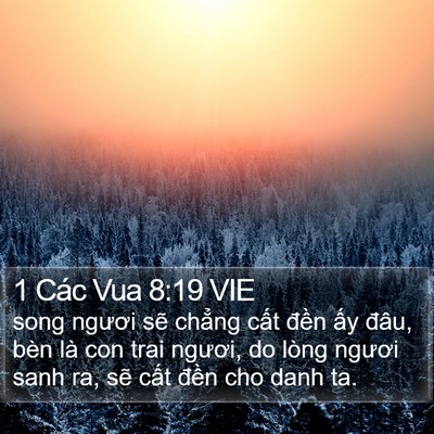 1 Các Vua 8:19 VIE Bible Verse Image