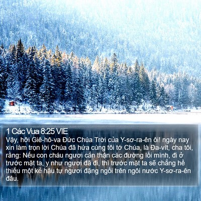 1 Các Vua 8:25 VIE Bible Verse Image