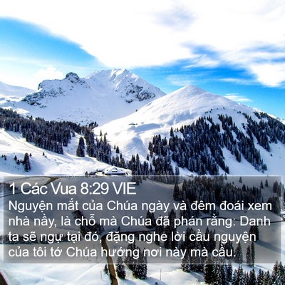 1 Các Vua 8:29 VIE Bible Verse Image