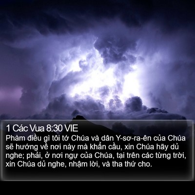 1 Các Vua 8:30 VIE Bible Verse Image