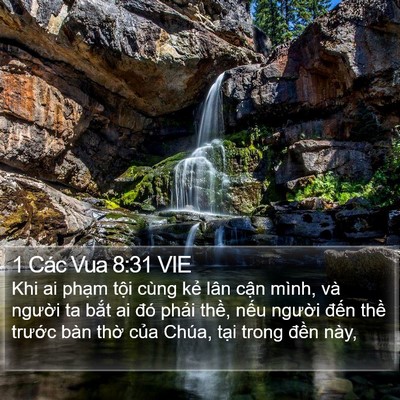 1 Các Vua 8:31 VIE Bible Verse Image