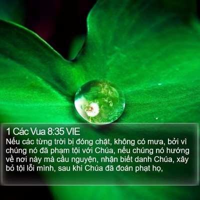 1 Các Vua 8:35 VIE Bible Verse Image