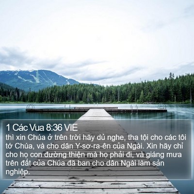 1 Các Vua 8:36 VIE Bible Verse Image