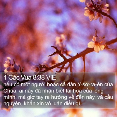 1 Các Vua 8:38 VIE Bible Verse Image