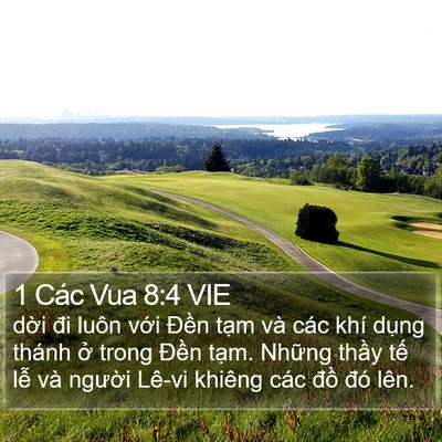 1 Các Vua 8:4 VIE Bible Verse Image