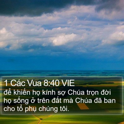 1 Các Vua 8:40 VIE Bible Verse Image