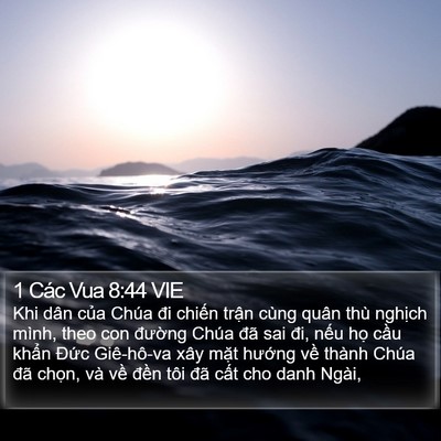 1 Các Vua 8:44 VIE Bible Verse Image
