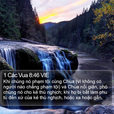 1 Các Vua 8:46 VIE Bible Verse Image